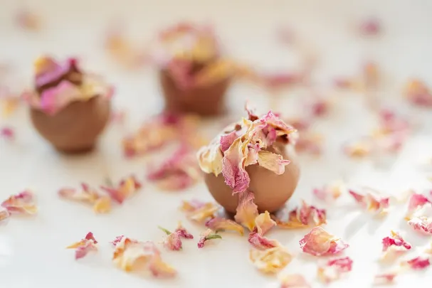 Casino Vegas Spins Aip Android/iOS